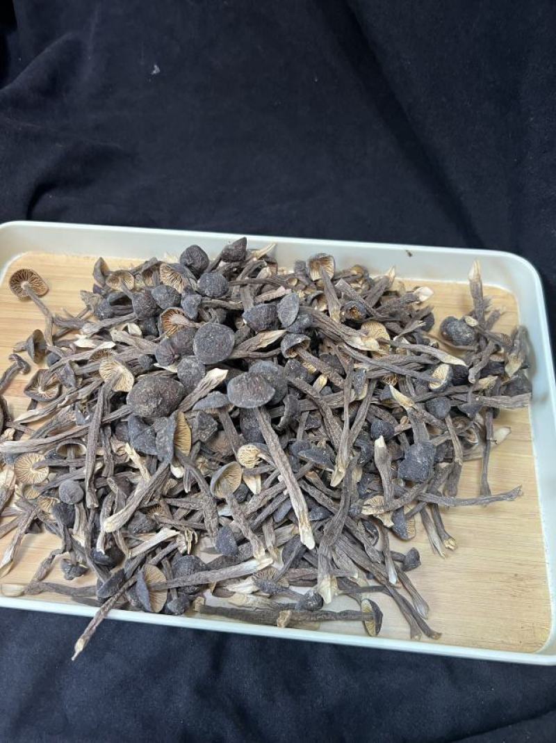 鸡枞菌一斤一袋
