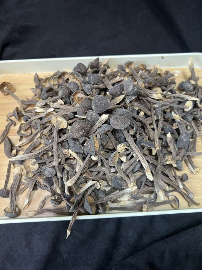 鸡枞菌一斤一袋
