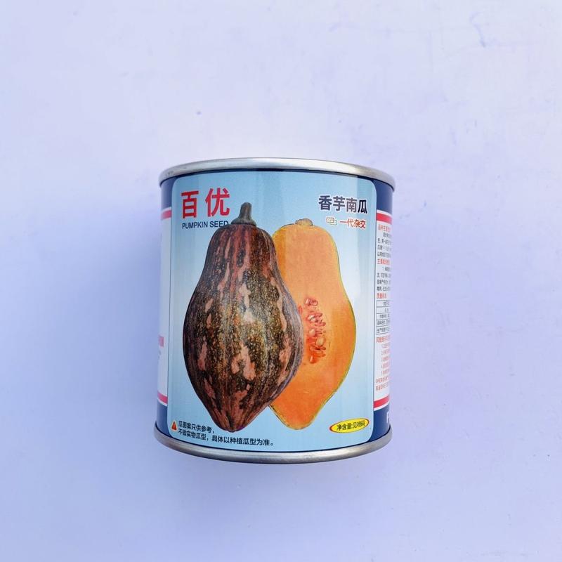百优香芋南瓜种子正宗高产板栗南瓜种子香芋味南瓜甜糯味鲜香