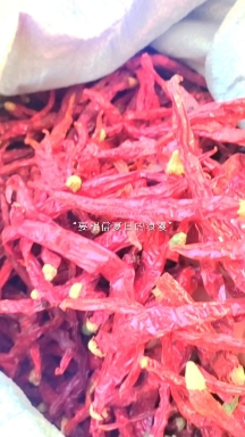 二荆条香辣型商超工厂通用型