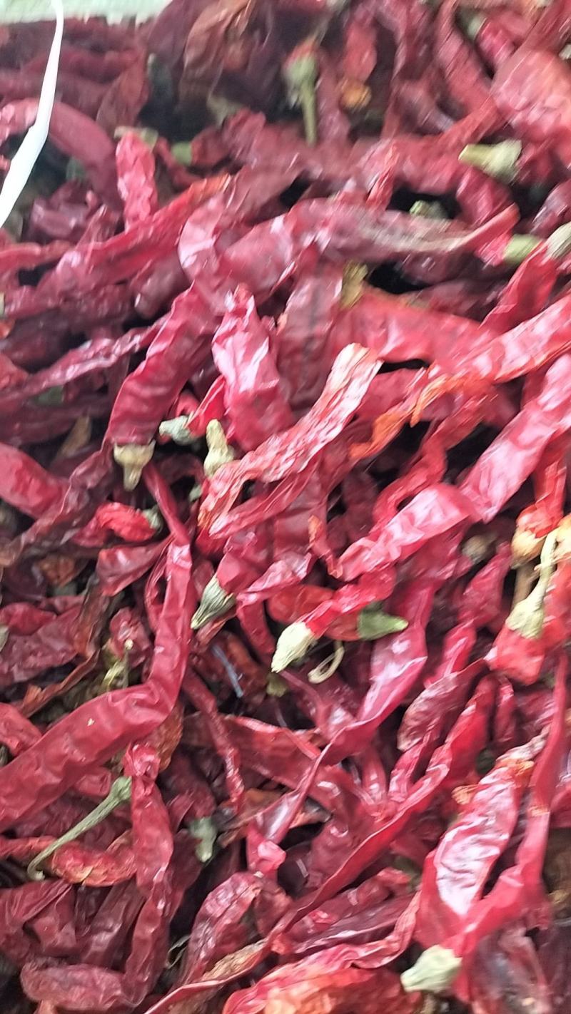 二荆条香辣型商超工厂通用型