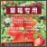 草莓专用生根壮苗，促花保果，膨果着色，增甜聚糖。