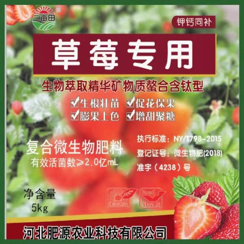 草莓专用生根壮苗，促花保果，膨果着色，增甜聚糖。