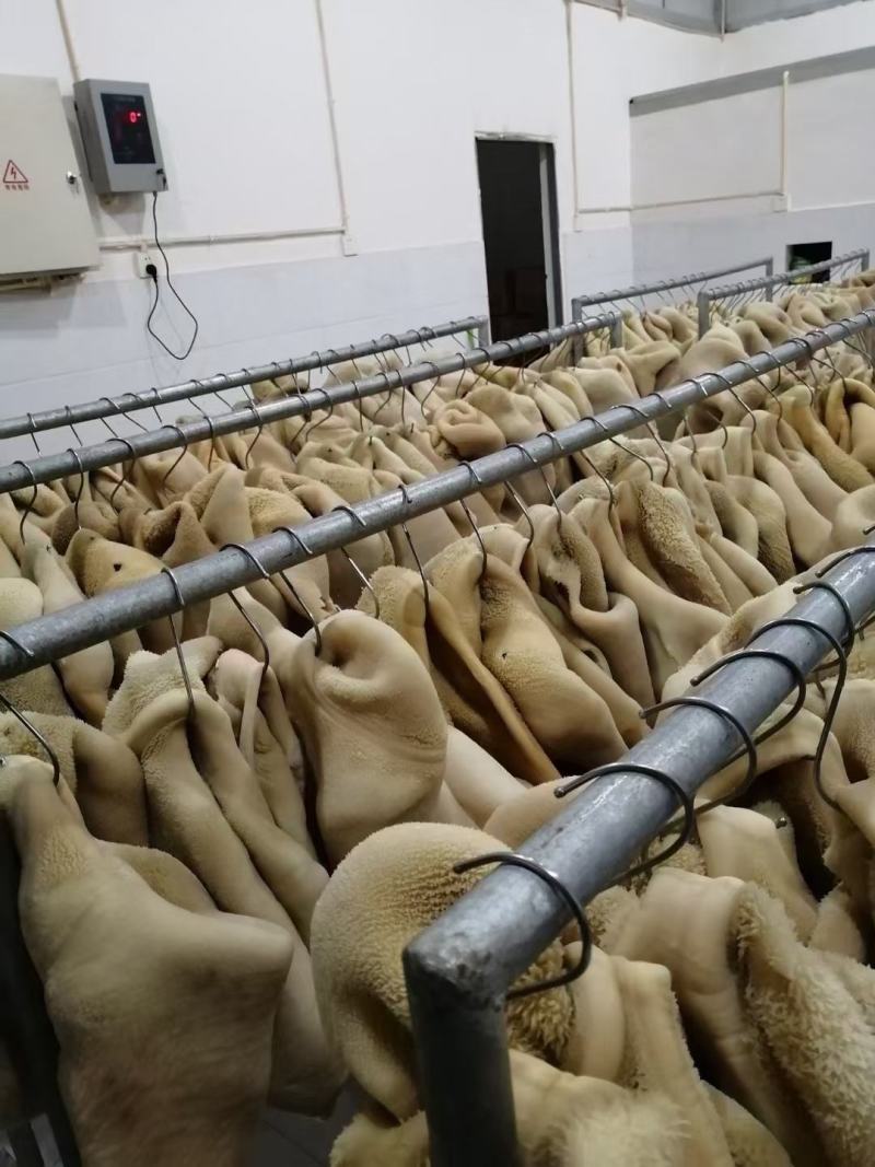 牛大肚黄牛肚整块大肚商用火锅食材毛肚火锅牛肚