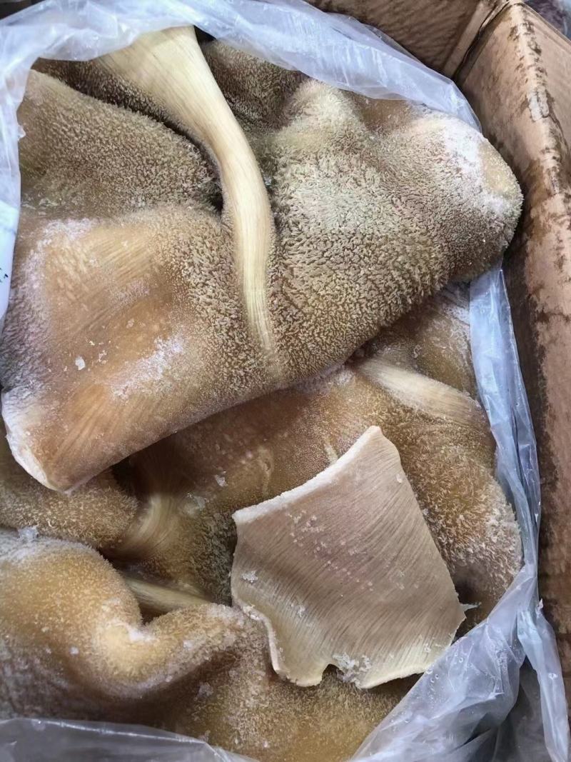 牛大肚黄牛肚整块大肚商用火锅食材毛肚火锅牛肚