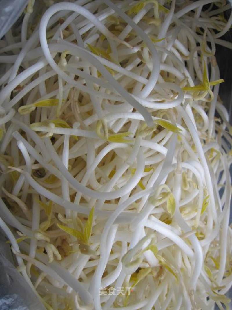 处理豆芽