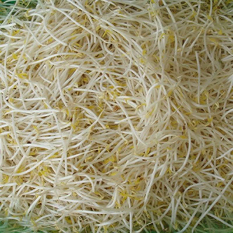 处理豆芽