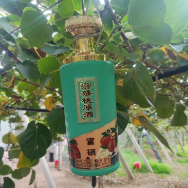 猕猴桃原酒