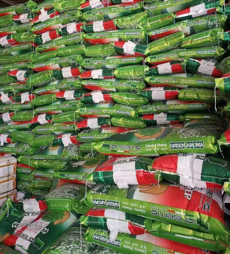进口香菜种子中叶大叶抗病基地专用包邮大棚露地均可