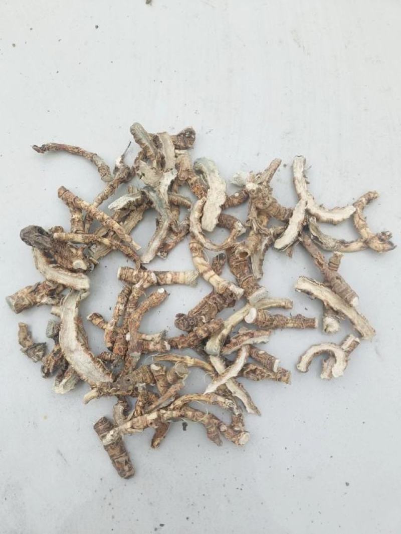 竹根七