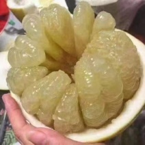 合江老树真龙柚，皮薄味甜水份足，易存放