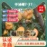 中油蟠7-27七月7月上黄肉油蟠桃苗大果浓甜糖度高另毛桃