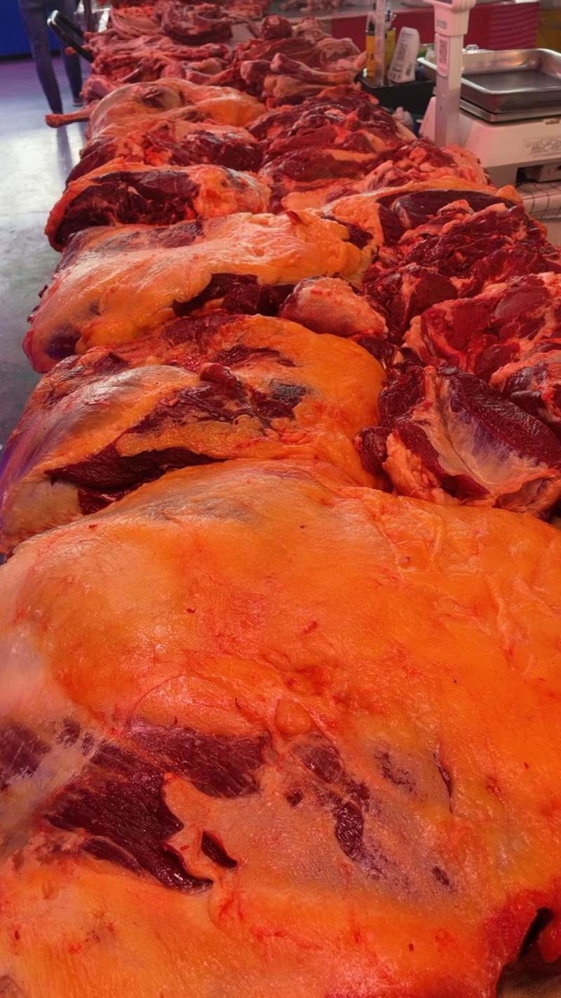 内蒙古锡林郭勒草地黄牛肉，黄膘牛肉牛排，去油。