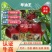 早油王六月6月上油桃苗中大果黄肉浓甜糖度高另有毛桃苗