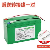 12v锂电池喷雾器锂电池12v大容量农用电动打药机音响照