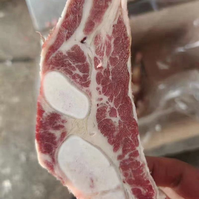 国产纯干牛胸骨锯块一手货源带肉率高质量保证色泽鲜