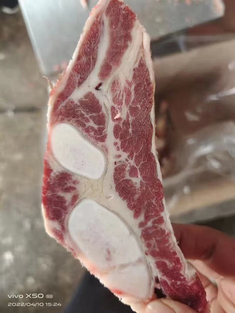 国产纯干牛胸骨锯块一手货源带肉率高质量保证色泽鲜