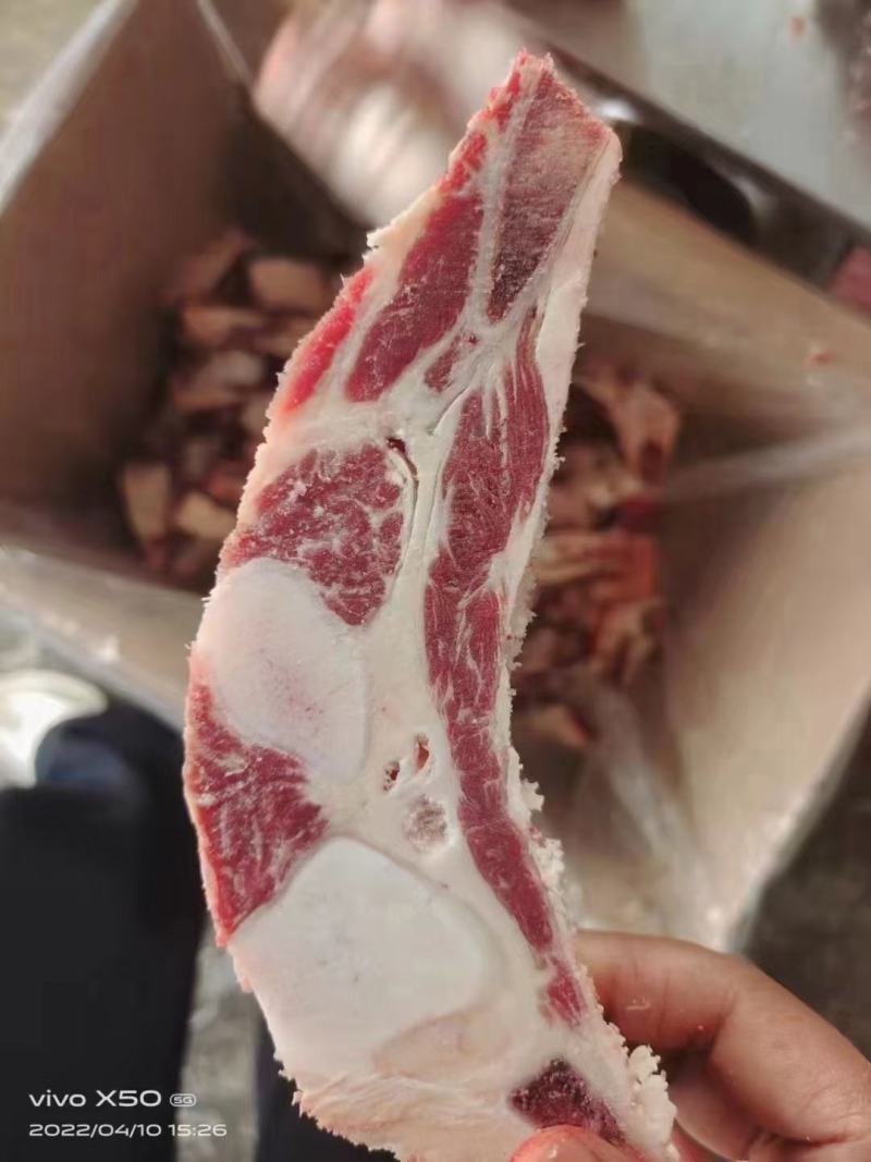国产纯干牛胸骨锯块一手货源带肉率高质量保证色泽鲜
