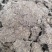 英德市鸡粪大量供应，产地直发质量保证欢迎合作诚信为本！