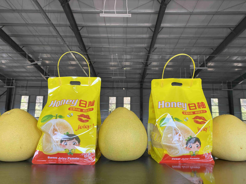 湖北省宣恩县精品贡水白柚大量上市，自家农庄种植，品质保证