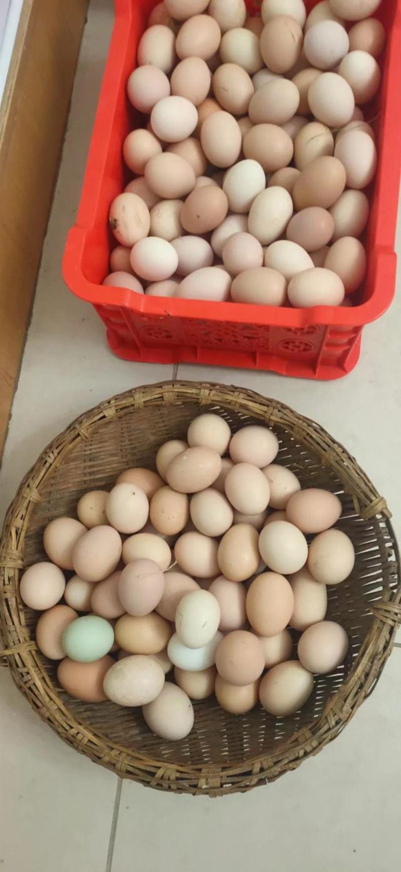 正宗农家土鸡蛋，品质保证，纯粮食喂养，大量有货