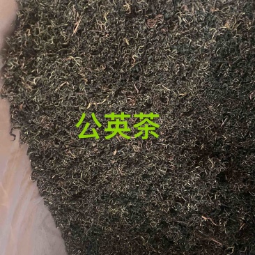 公英茶蒲公英茶蒲公英根茶两种