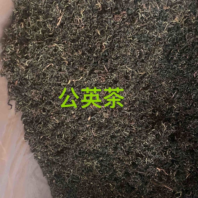公英茶蒲公英茶蒲公英根茶两种