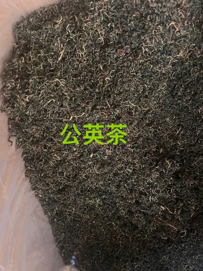公英茶蒲公英茶蒲公英根茶两种