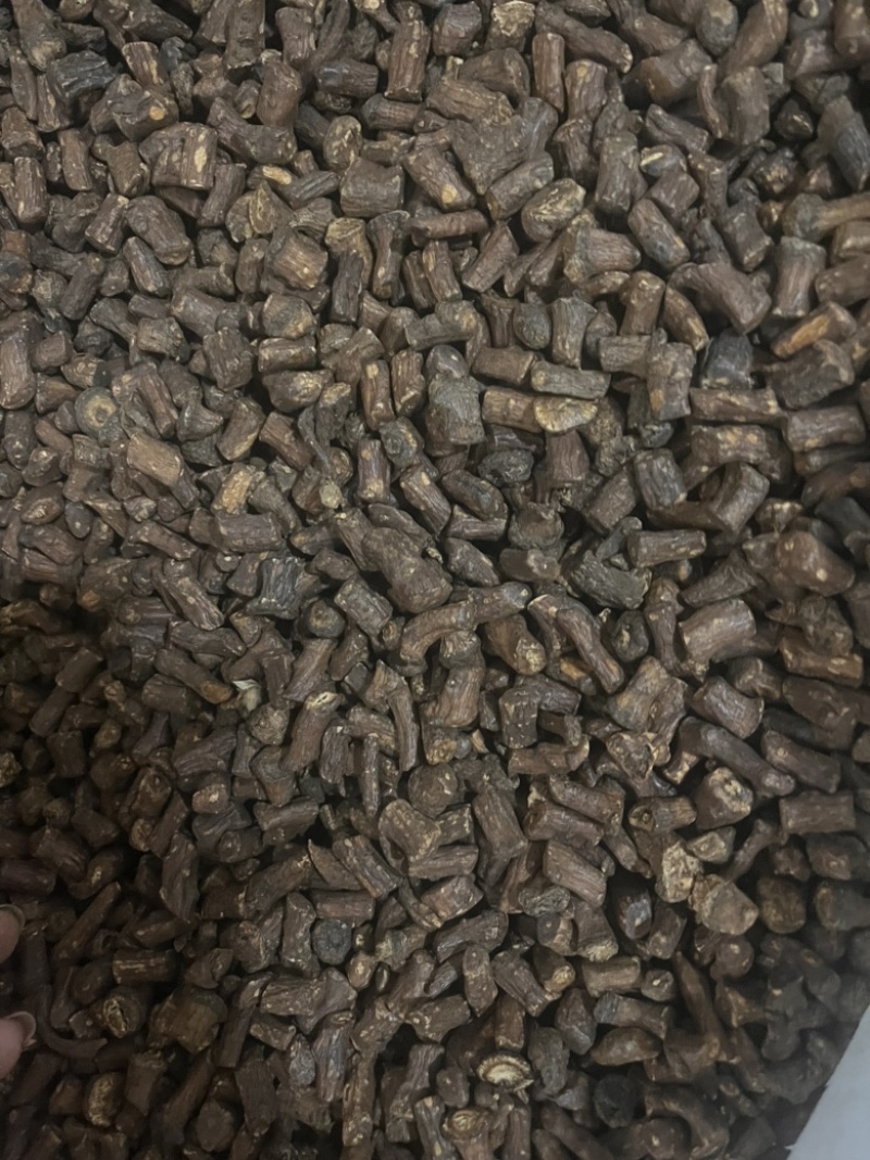 公英茶蒲公英茶蒲公英根茶两种