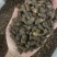 公英茶蒲公英茶蒲公英根茶两种