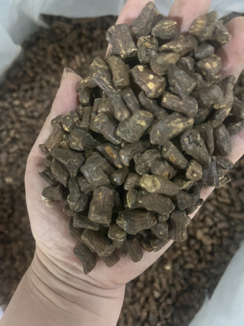 公英茶蒲公英茶蒲公英根茶两种
