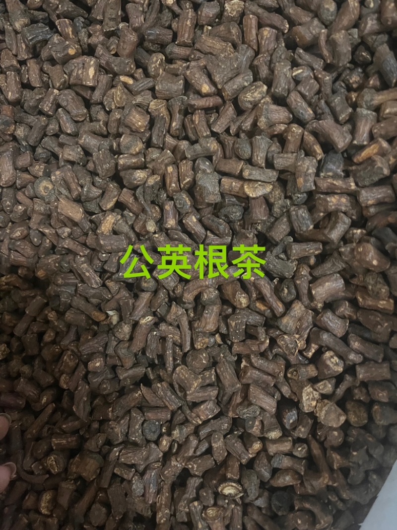 公英茶蒲公英茶蒲公英根茶两种