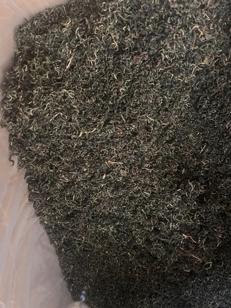 公英茶蒲公英茶蒲公英根茶两种