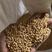 小麦碎小麦杂粮供应养户和做饲料厂商