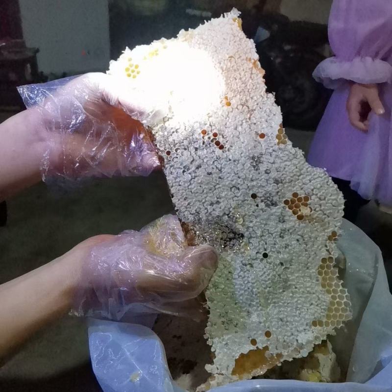 供应土蜂蜜