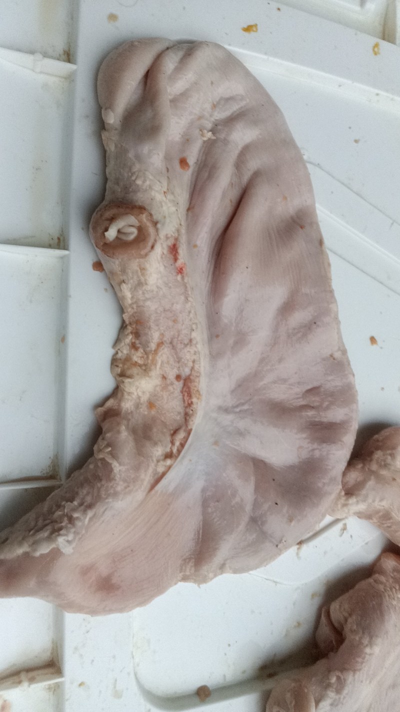 精品猪肚无油，无水