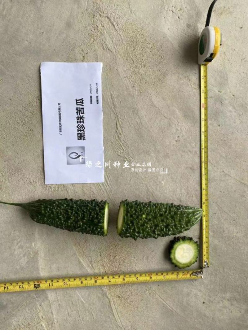 正源苦瓜种籽黑珍珠苦瓜种子深绿色杂交一代疙瘩黑苦瓜种子