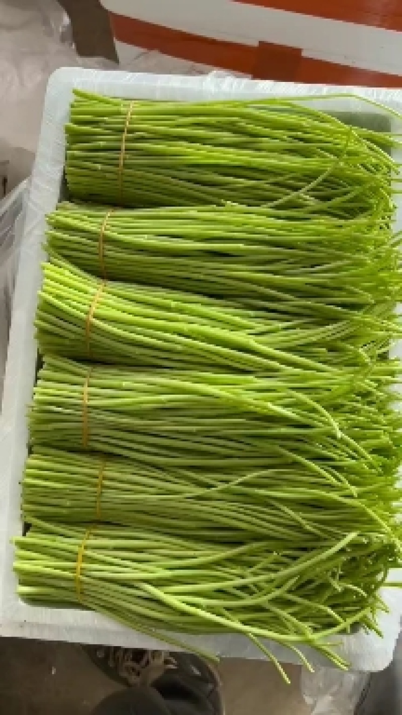 本人种植芦蒿八年，现在云南有八十亩种植基地，从种植到生产