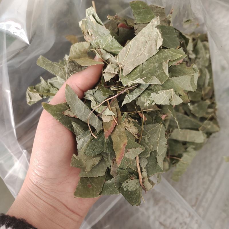阴阳藿，东北货，好货净货一手货源，保质保量，批发各种中药