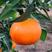 精品爱媛橙产地直供大量上市货源充足品质保证全国发货