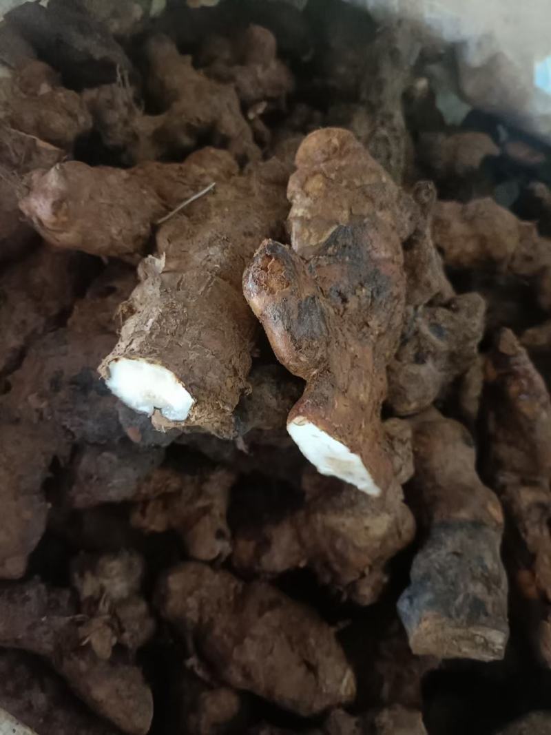 土茯苓本地中土，一两至三两。粉质白肉