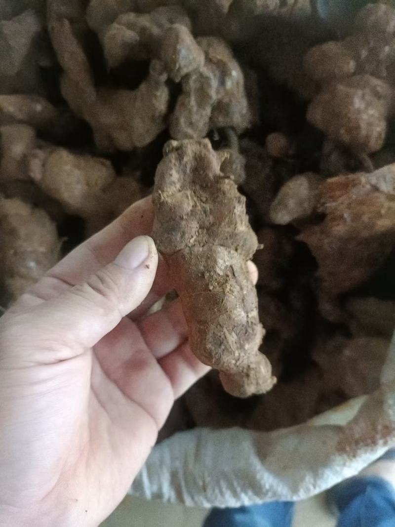 土茯苓本地中土，一两至三两。粉质白肉
