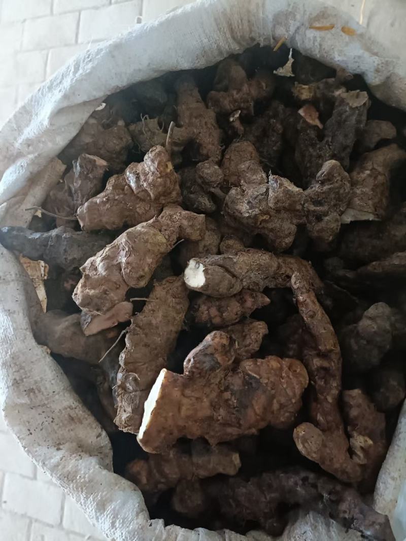 土茯苓本地中土，一两至三两。粉质白肉