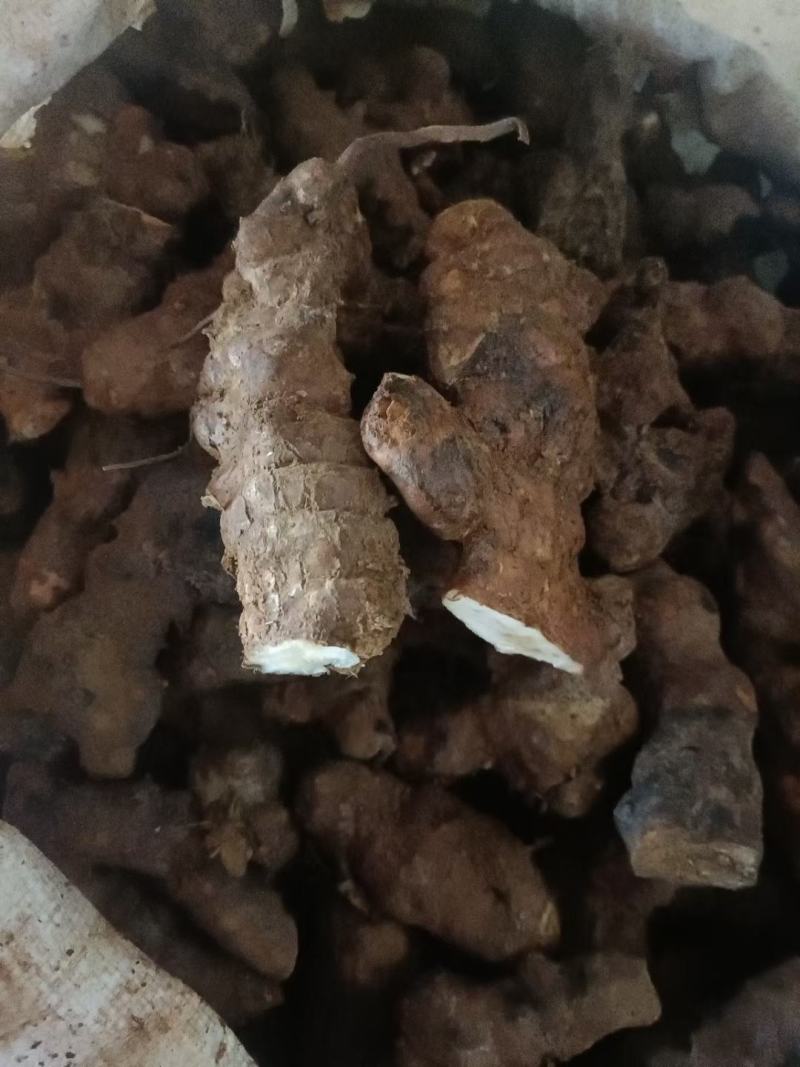 土茯苓本地中土，一两至三两。粉质白肉