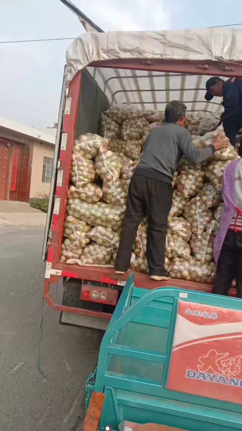 万亩精品冬桃大量供应，质量好，口感脆甜，产地直供欢迎订购