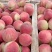 万亩精品冬桃大量供应，质量好，口感脆甜，产地直供欢迎订购