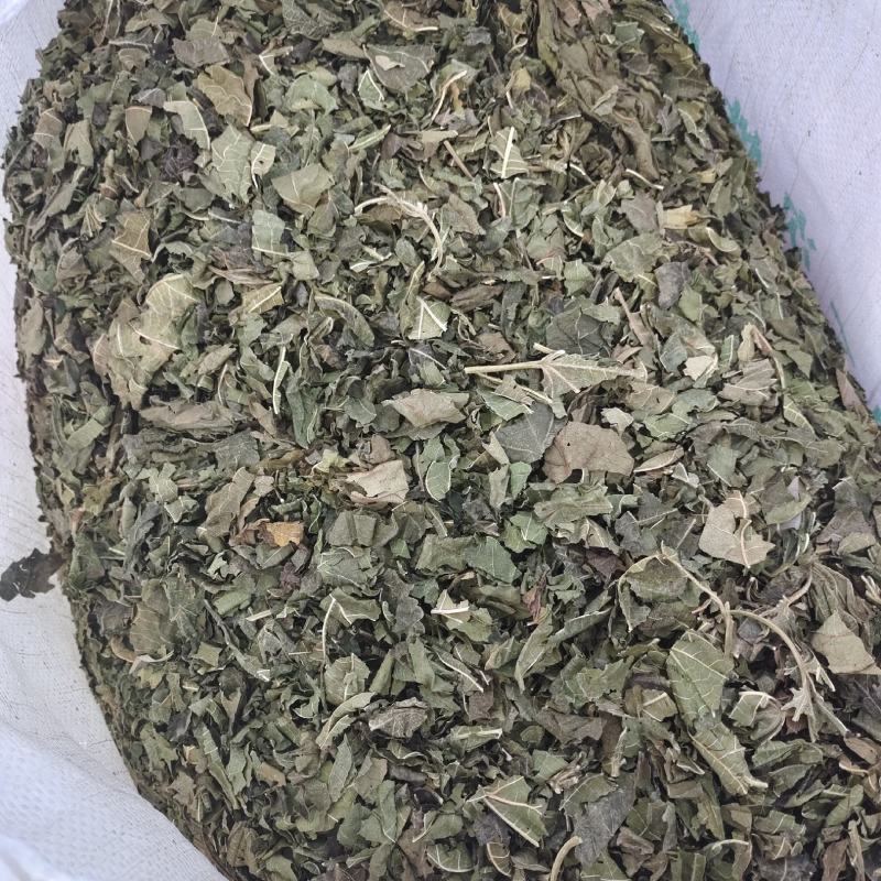 桑叶新货，颜色青，产地货源，保质保量，批发各种中药材，欢