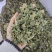 桑叶新货，颜色青，产地货源，保质保量，批发各种中药材，欢