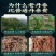 丹参野生中药材无硫云南紫丹参野生丹参
