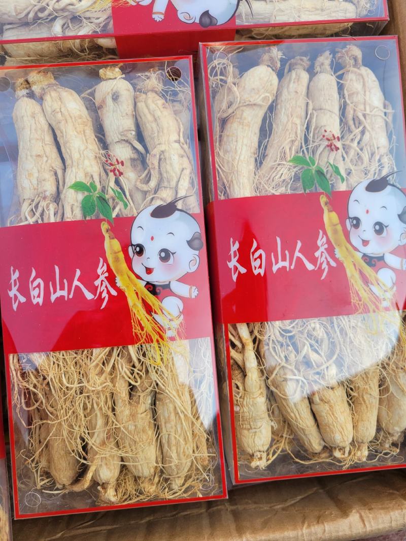 人参白须参25支多种规格大货供应七彩百草中药材批发